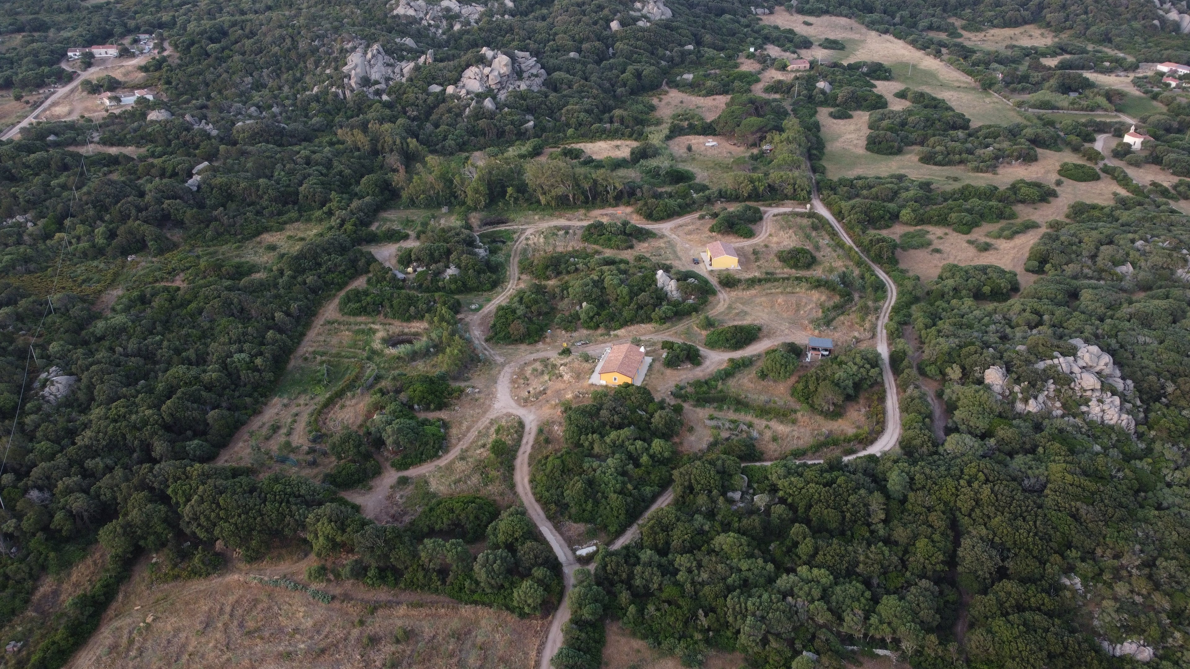 La foresta che cresce: cinque anni di radici in Gallura